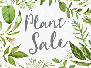 Plant Sale @ 1515 Dogwood Drive, Portage