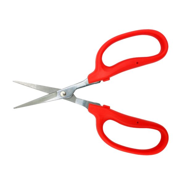 Straight Blade MasaMasa Scissors