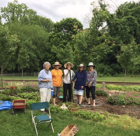 Floral Design Tips Learned at the 2019 MGC Convention :: Kalamazoo Garden  Council