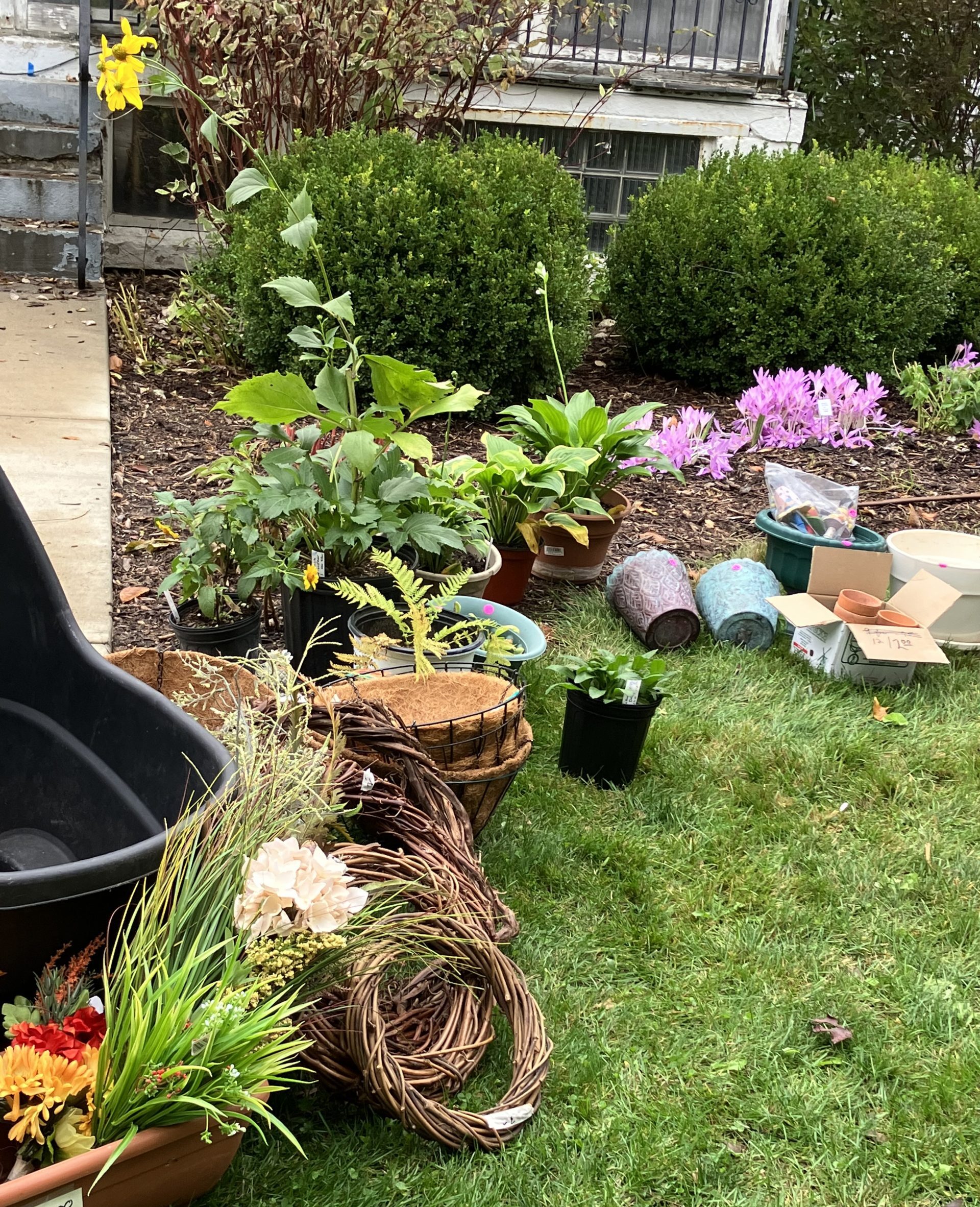 all the necessary tools for a beautiful garden