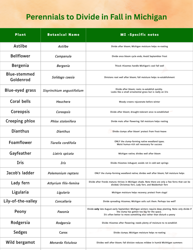 Chart of the most common plants in Michigan gardens to divide in fall.