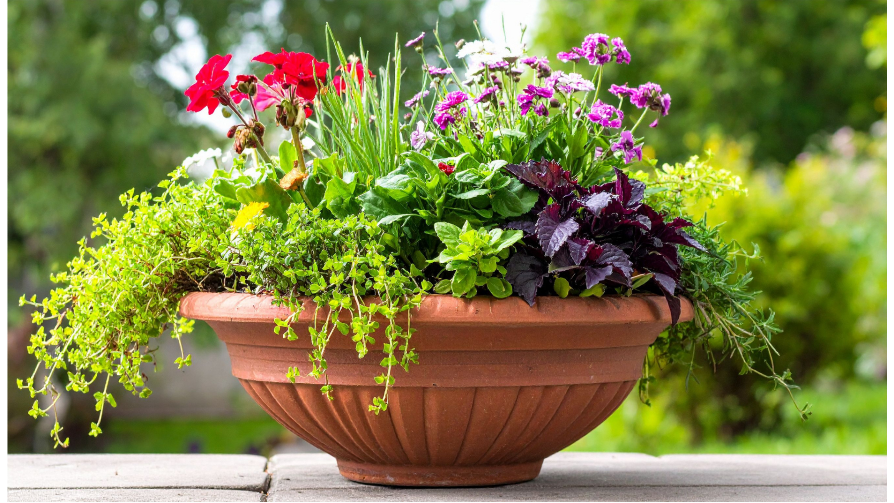 Container plantings can be started any time of the year and many of the plants will continue blooming or have beautiful foliage all winter in Michigan when taken indoors before frost.