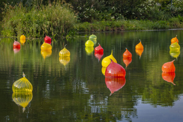 Chihuly at Meijer Gardens is a Kalamazoo Garden Council sponsored event, members only.