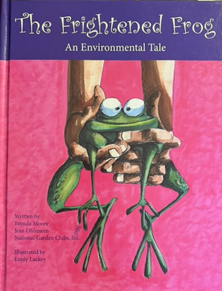 The Frightened Frog book cover