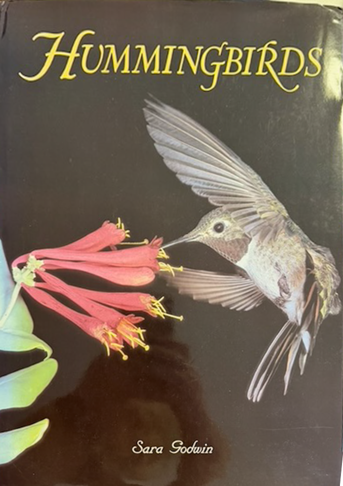 Hummingbirds book cover