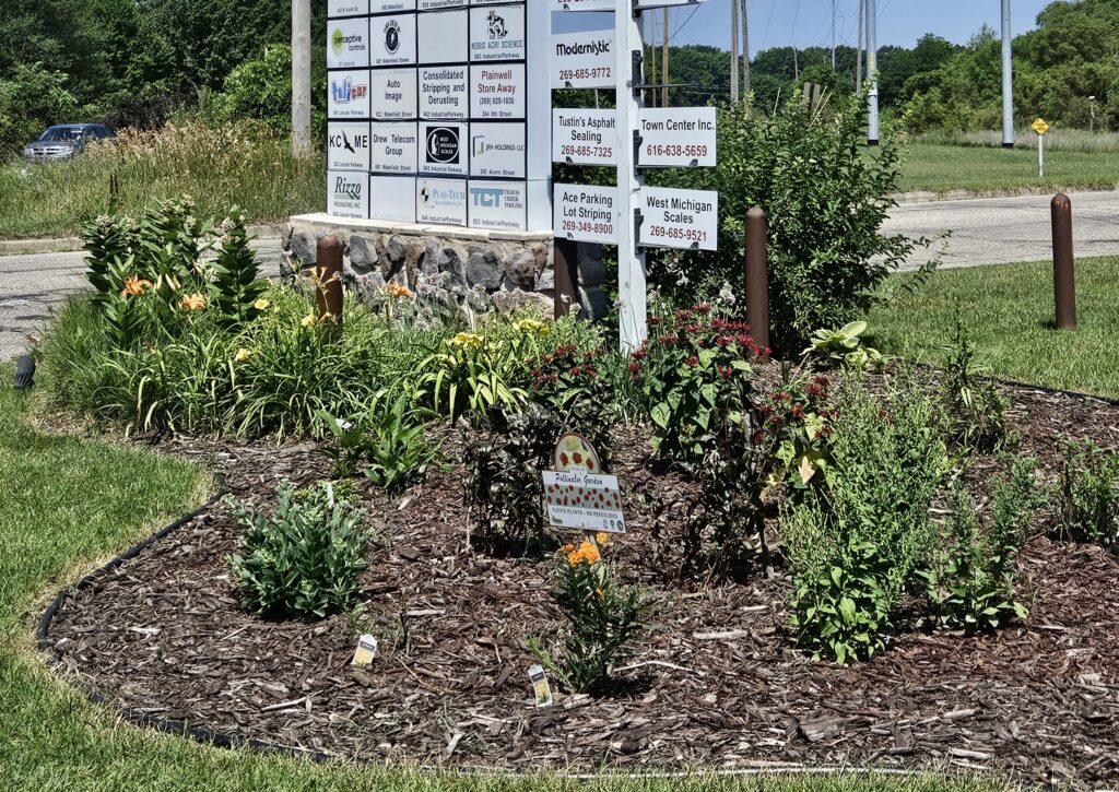 Chula Vista Plainwell Pollinator Garden