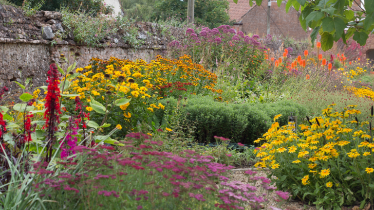 Biennials and that cottage garden vibe are calming, make gardening easy, and are remembrances of days gone by