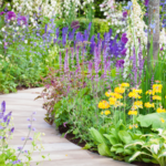Biennials are perfect for cottage gardens, giving that romantic feel of years gone by