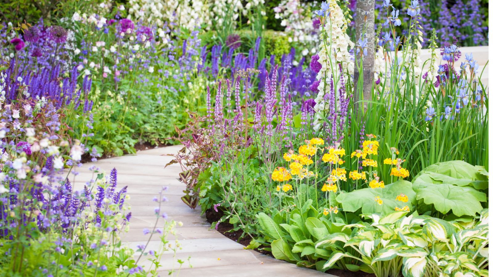 Biennials are perfect for cottage gardens, giving that romantic feel of years gone by