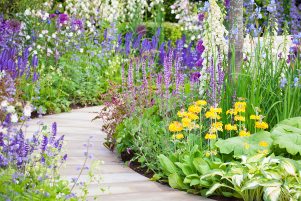 Biennials are perfect for cottage gardens, giving that romantic feel of years gone by