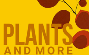 Plants and more sale