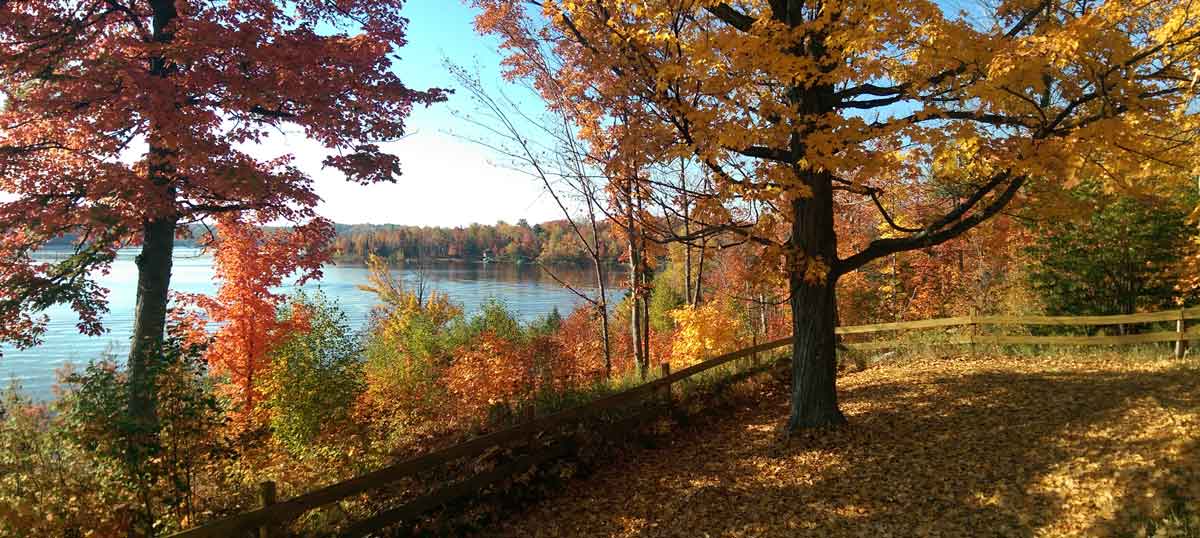 Fall is the time to enjoy the fall color we so enjoy in Michigan