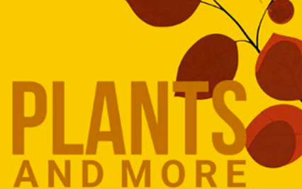 Plants and more sale